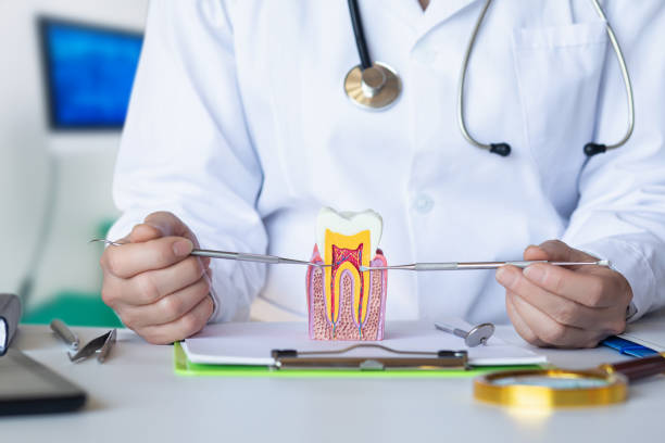 Best Walk-In Emergency Dental Services in St Paul, NE